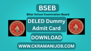 Bihar BSEB DELED Dummy Admit Card 2025-27